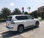 Lexus GX 460 Luxury 4.6 AT 2016 - Bán xe Lexus GX460 Luxury 2016, màu trắng, bản đủ