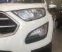 Ford EcoSport Ambiente 1.5 AT 2019 - Bán xe Ford Ecosport 2019 - Mua xe tặng xe và hàng ngàn phần quà khác