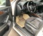 Audi Q5 Quattro 2010 - Bán Audi Q5 Quattro sản xuất 2010