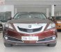 Acura ZDX SH-AWD 2009 - Bán Acura ZDX SH-AWD năm 2009, màu nâu, nhập khẩu 