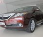 Acura ZDX SH-AWD 2009 - Bán Acura ZDX SH-AWD năm 2009, màu nâu, nhập khẩu 