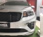 Kia Sedona Platinum D 2019 - Bán xe Kia Sedona Platinum D đời 2019, màu bạc