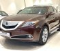 Acura ZDX 2009 - HCM: Acura ZDX SH-AWD 2009, màu nâu, xe nhập