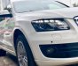 Audi Q5 Quattro 2010 - Bán Audi Q5 Quattro sản xuất 2010