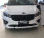 Kia Sedona Platinum D 2019 - Bán Kia Sedona Platinum D năm sản xuất 2019