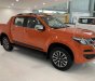 Chevrolet Colorado    4x2 LT 2019 - Bán Chevrolet Colorado năm 2019, xe nhập, mới 100%