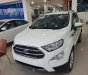 Ford EcoSport   Titanium 1.5   2019 - Bán ô tô Ford EcoSport Titanium 1.5 năm sản xuất 2019, màu trắng, 648 triệu