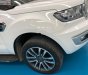 Ford Everest Titanium 4x4 BiTurbo 2019 - Bán Ford Everest Titanium 4x4 BiTurbo 2019, màu trắng, nhập khẩu nguyên chiếc