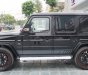 Mercedes-Benz G class 2019 - Bán xe Mercedes G63 AMG Normal model 2020, màu đen mới 100%