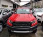 Ford Ranger Raptor 2.0 Bitubor 2019 - Chi tiết về Ford Ranger Raptor, tư vấn lăn bánh tại từng tỉnh, giá hiện tại liên hệ 0965.423.558