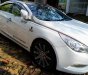 Hyundai Sonata 2011 - Bán Hyundai Sonata đời 2011, chính chủ giữ kĩ