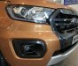Ford Ranger   2019 - Cần bán Ford Ranger năm sản xuất 2019, nhập khẩu