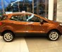 Ford EcoSport 2019 - Ford EcoSport mới- - Tặng BHVC+ PK: Film 3M, camera, sàn, DVD, vè che mưa.., đủ màu, giá cạnh tranh