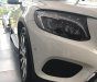 Mercedes-Benz GLC-Class GLC 300 Coupe 2019 - Bán ô tô Mercedes GLC 300 Coupe đời 2019, màu trắng, nhập Đức nguyên chiếc