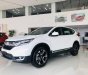 Honda CR V 2019 - Bán ô tô Honda CR V đời 2019, màu trắng, xe nhập