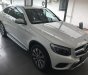 Mercedes-Benz GLC-Class GLC 300 Coupe 2019 - Bán ô tô Mercedes GLC 300 Coupe đời 2019, màu trắng, nhập Đức nguyên chiếc