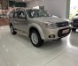 Ford Everest 2015 - Bán Ford Everest sản xuất năm 2015, màu bạc