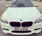 BMW 5 Series  520i  2016 - Cần bán gấp BMW 5 Series 520i 2016, màu trắng, ĐKLĐ 2017