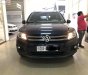 Volkswagen Tiguan 2016 - Bán xe Volkswagen Tiguan cũ - Màu xanh, nội thất nâu - Nhập khẩu nguyên chiếc từ Đức