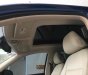 Volkswagen Tiguan 2009 - Bán xe Volkswagen Tiguan 2009, màu blue 
