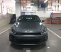 Volkswagen Scirocco GTS 2016 - Bán xe Volkswagen Scirocco GTS 2016, màu xám, xe Đức nhập khẩu