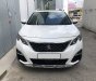 Peugeot 3008 2018 - Cần bán xe Peugeot 3008 model 2018, màu trắng, biển TP chính chủ