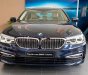 BMW 5 Series  530i  2019 - Bán BMW 5 Series 530i sản xuất 2019, màu xanh lam, nhập khẩu  