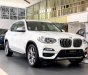 BMW X3 2019 - Bán ô tô BMW X3 sản xuất năm 2019, màu trắng, nhập khẩu