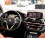 BMW X3 2019 - Bán ô tô BMW X3 sản xuất năm 2019, màu trắng, nhập khẩu