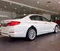 BMW 5 Series  530i  2019 - Bán BMW 5 Series 530i đời 2019, màu trắng, xe nhập