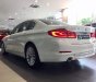 BMW 5 Series  530i  2019 - Bán BMW 5 Series 530i đời 2019, màu trắng, xe nhập