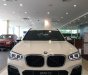 BMW X3 xDrive20i 2019 - Bán xe BMW X3 xDrive20i đời 2019, màu trắng, nhập khẩu