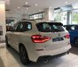 BMW X3 xDrive20i 2019 - Bán xe BMW X3 xDrive20i đời 2019, màu trắng, nhập khẩu