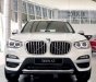 BMW X3 2019 - Bán ô tô BMW X3 sản xuất năm 2019, màu trắng, nhập khẩu