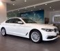 BMW 5 Series  530i  2019 - Bán BMW 5 Series 530i đời 2019, màu trắng, xe nhập