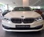 BMW 5 Series  530i  2019 - Bán BMW 5 Series 530i đời 2019, màu trắng, xe nhập