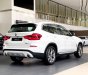 BMW X3 2019 - Bán ô tô BMW X3 sản xuất năm 2019, màu trắng, nhập khẩu