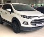 Ford EcoSport Titanium 1.5 AT 2015 - Cần bán Ford EcoSport Titanium 1.5 AT đời 2015, màu trắng, 455 triệu