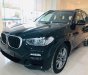 BMW X3 2019 - Bán BMW X3 đời 2019, màu đen, nhập khẩu nguyên chiếc