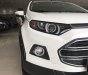 Ford EcoSport Titanium 1.5 AT 2015 - Cần bán EcoSport Titanium 1.5 AT SX 2015  