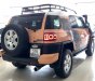 Toyota Fj cruiser 2006 - Cần bán Toyota Fj Cruiser sản xuất năm 2006, màu nâu, nhập khẩu