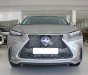 Lexus NX NX200T 2015 - Bán xe Lexus NX NX200t đời 2015, màu xám (ghi), nhập khẩu