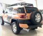 Toyota Fj cruiser 2008 - Bán Toyota Fj cruiser 2008 màu nâu hồng, xe nhập khẩu