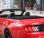 Ford Mustang Convertible 2.3 Ecoboost  2019 - Bán ô tô Ford Mustang Convertible 2.3 Ecoboost đời 2019, màu đỏ, nhập khẩu