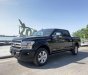 Ford F 150 2019 - Cần bán Ford F 150 năm sản xuất 2019, màu đen, xe nhập