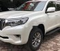 Toyota Land Cruiser   Prado  2019 - Bán Toyota Land Cruiser Prado 2019, màu trắng, xe nhập