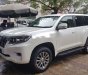 Toyota Land Cruiser   Prado  2019 - Bán Toyota Land Cruiser Prado 2019, màu trắng, xe nhập