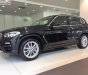 BMW X3 xDrive20i 2019 - Bán BMW X3 xDrive20i đời 2019, màu đen, nhập khẩu nguyên chiếc