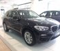 BMW X3 xDrive20i 2019 - Bán BMW X3 xDrive20i đời 2019, màu đen, nhập khẩu nguyên chiếc