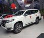 Mitsubishi Pajero MT 2019 - Bán xe Mitsubishi Pajero MT sản xuất 2019, màu trắng, xe nhập